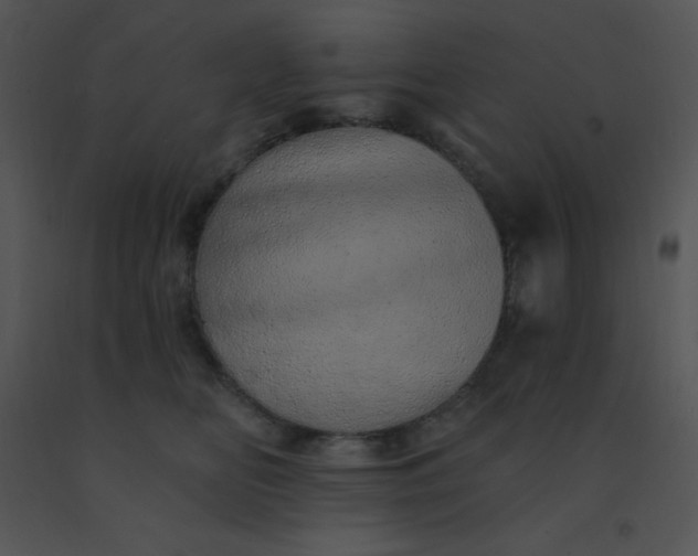 X0000091560518200708311417