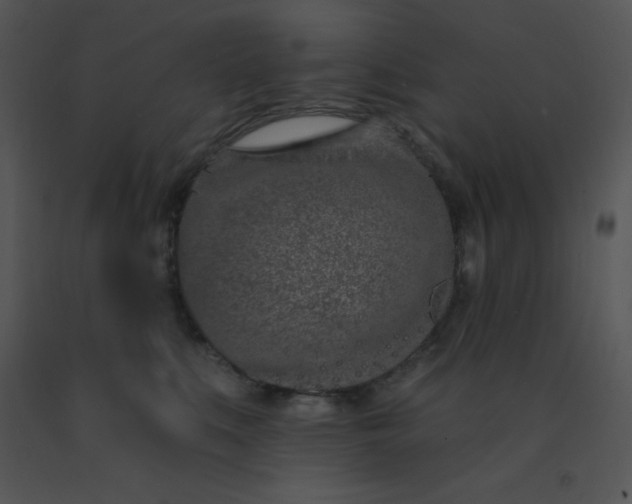 X0000091560519200708311417