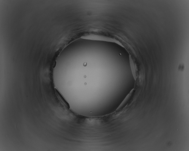 X0000091560520200708311417