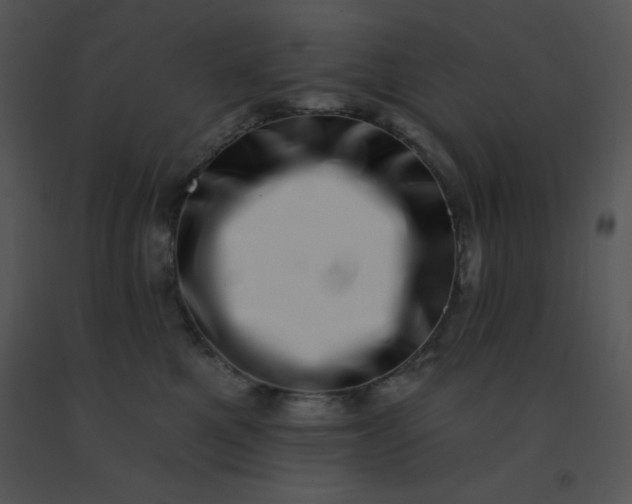 X0000091560521200708311417