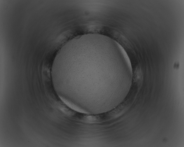 X0000091560522200708311417