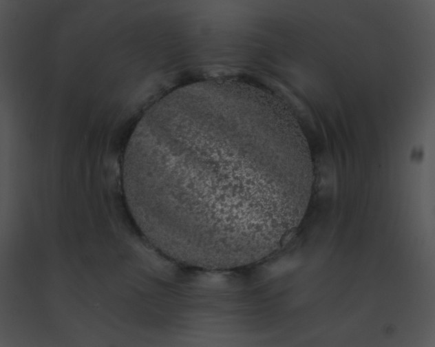 X0000091560523200708311417