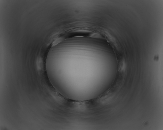 X0000091560524200708311417