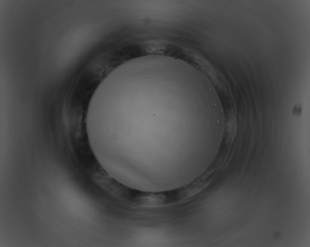 X0000091560525200708311417