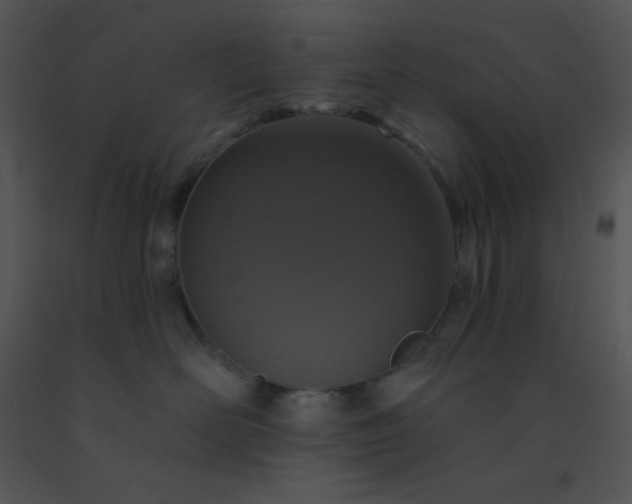 X0000091560526200708311417