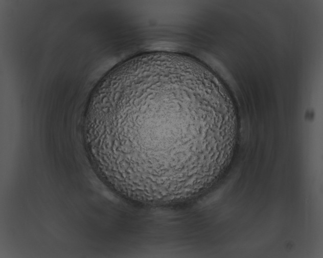 X0000091560529200708311417