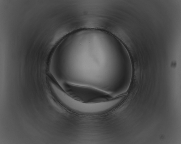 X0000091560530200708311417