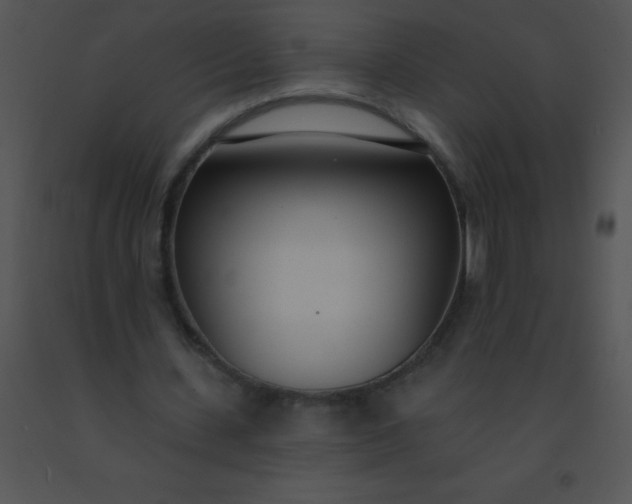 X0000091560531200708311417