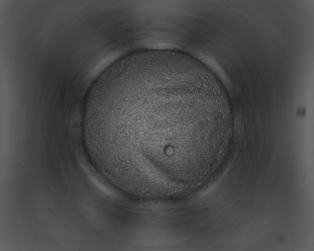 X0000091560533200708311417