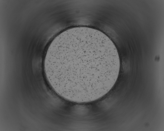 X0000091560534200708311417