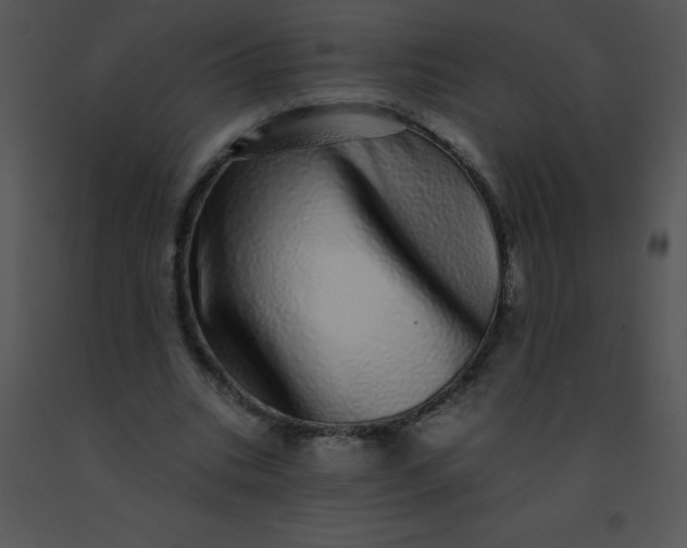 X0000091560535200708311417