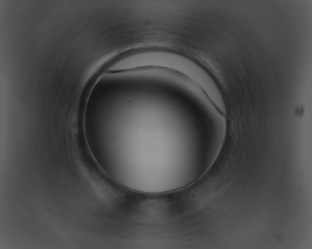 X0000091560536200708311417