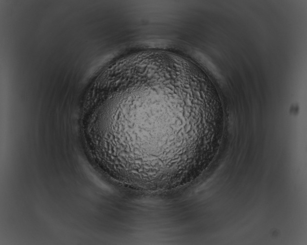 X0000091560537200708311417