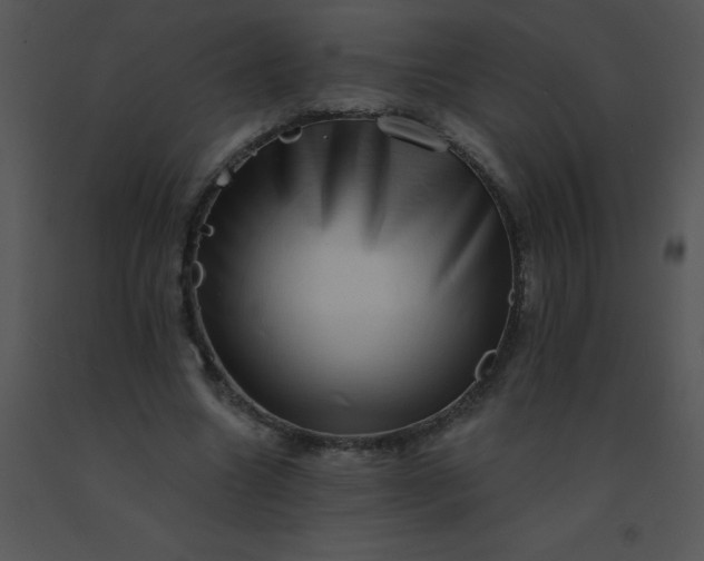 X0000091560538200708311417