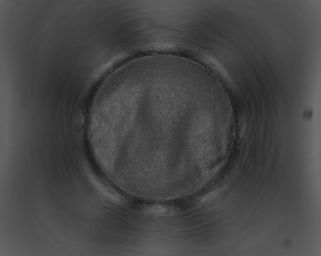 X0000091560542200708311417