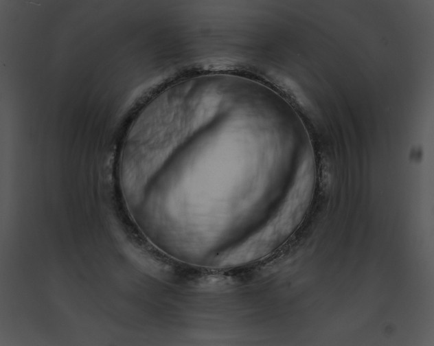 X0000091560543200708311417