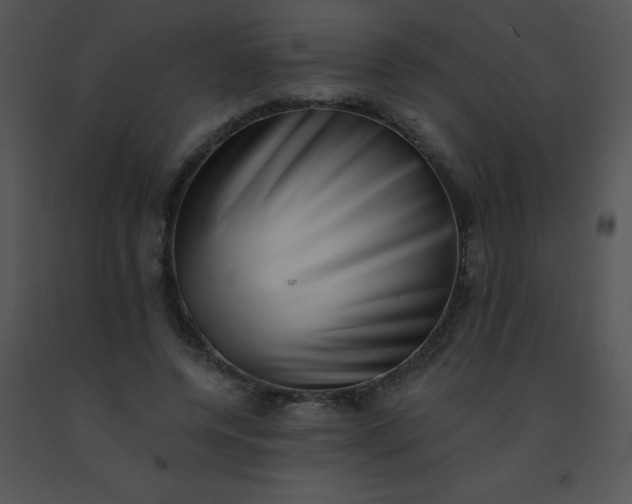 X0000091560544200708311417