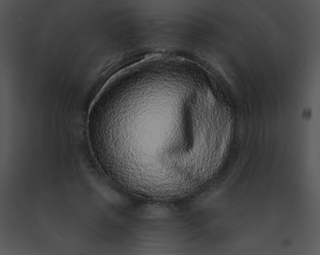 X0000091560545200708311417