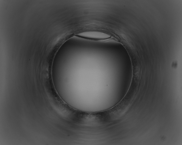 X0000091560547200708311417