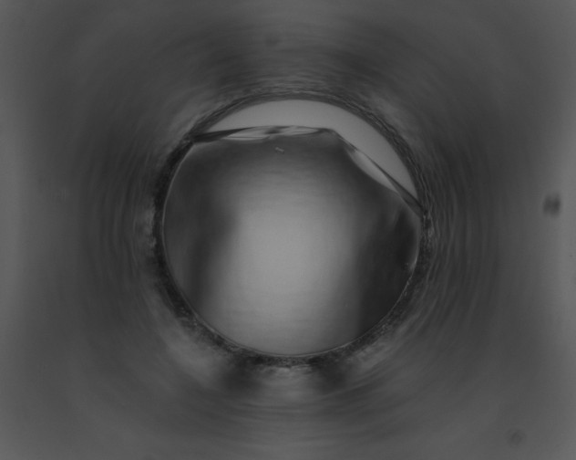 X0000091560548200708311417