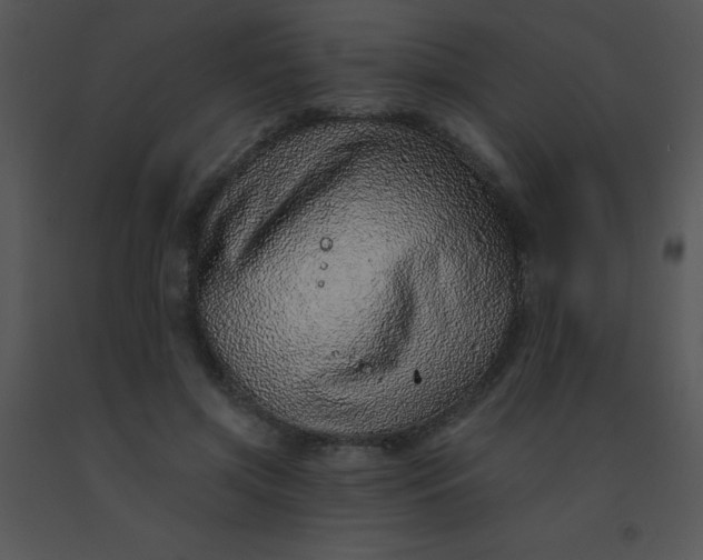 X0000091560549200708311417