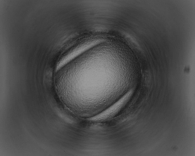 X0000091560550200708311417