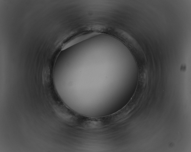 X0000091560552200708311417