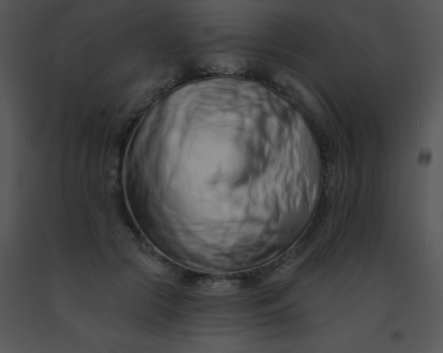 X0000091560553200708311417