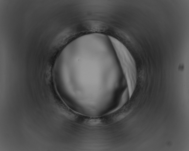 X0000091560554200708311417