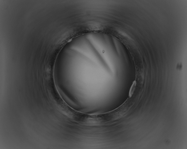 X0000091560556200708311417