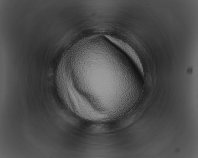 X0000091560557200708311417