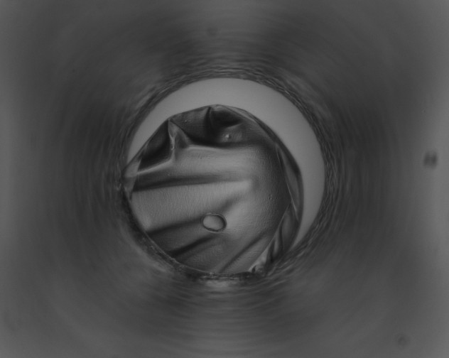 X0000091560560200708311417