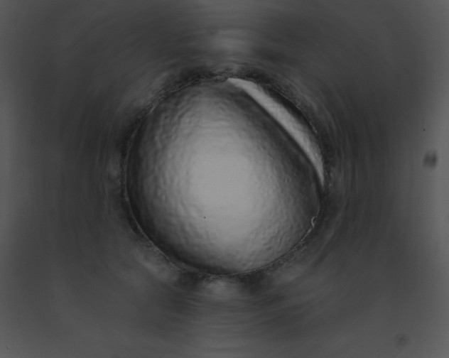 X0000091560561200708311417