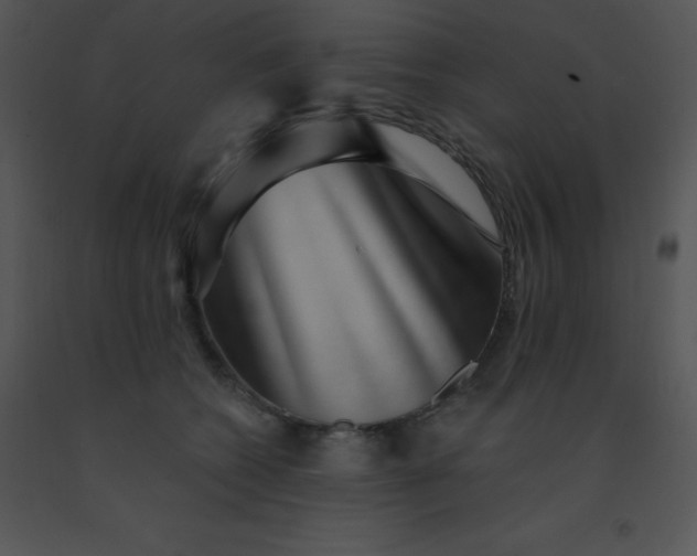 X0000091560562200708311417