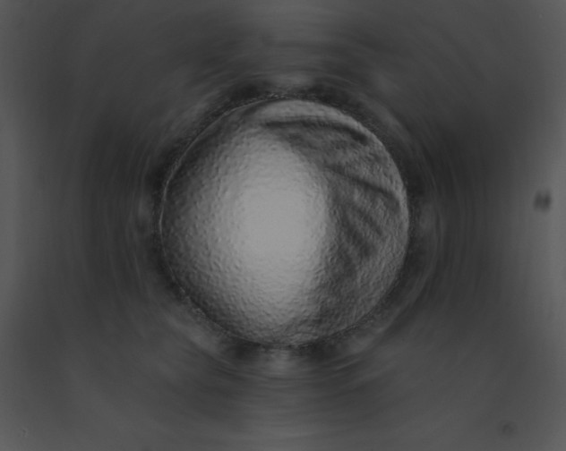 X0000091560565200708311417