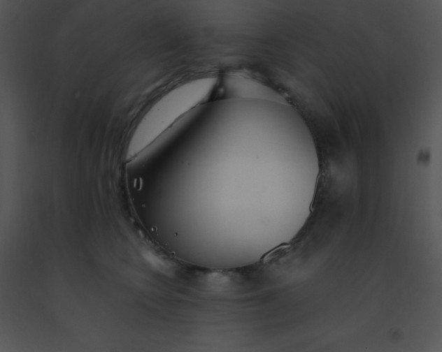 X0000091560566200708311417