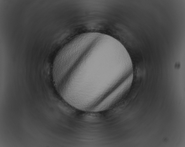 X0000091560567200708311417