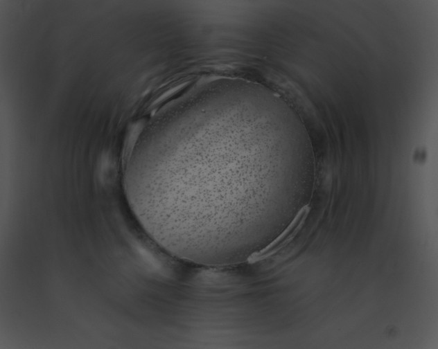 X0000091560568200708311417