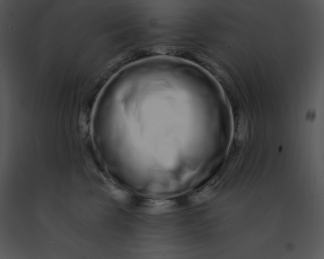 X0000091560569200708311417