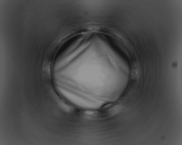 X0000091560573200708311417