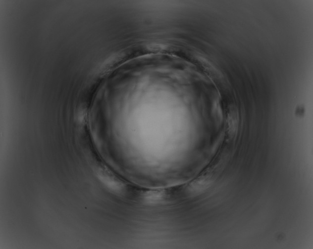 X0000091560574200708311417