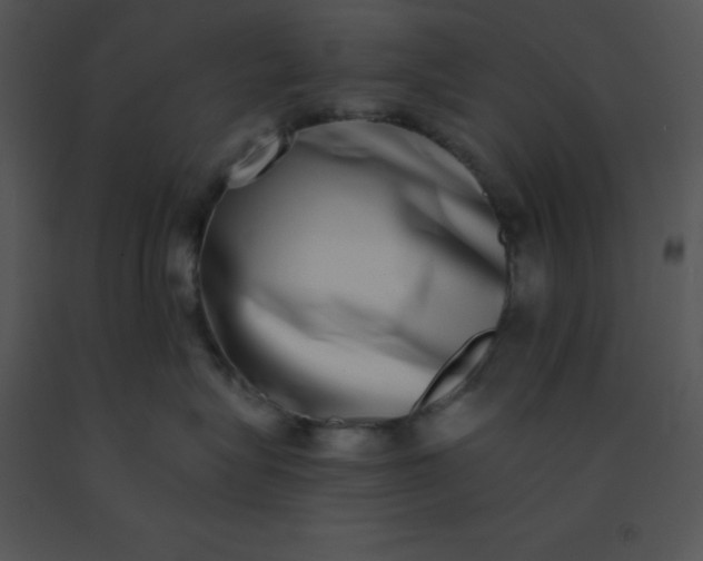 X0000091560575200708311417