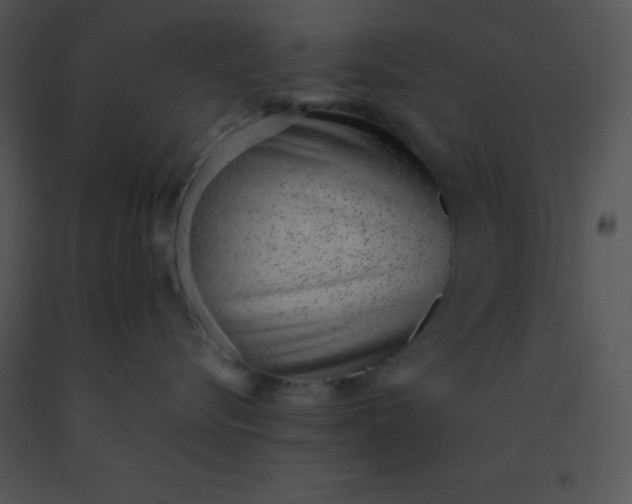 X0000091560576200708311417