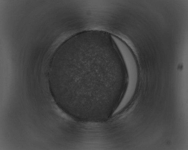 X0000091560577200708311417