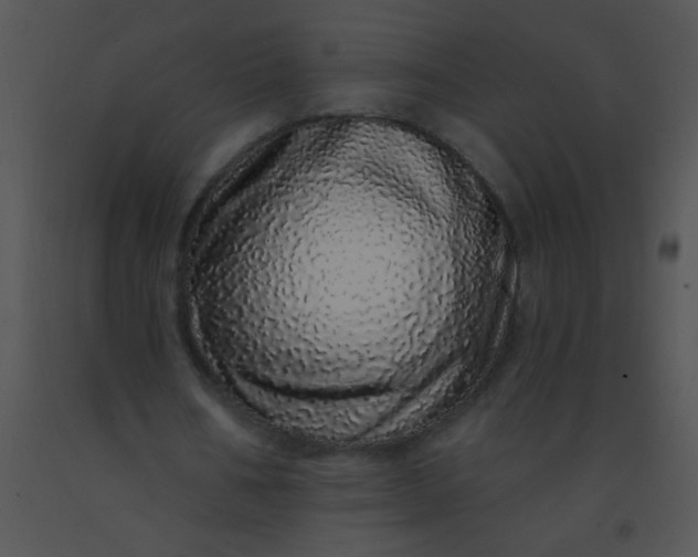 X0000091560578200708311417