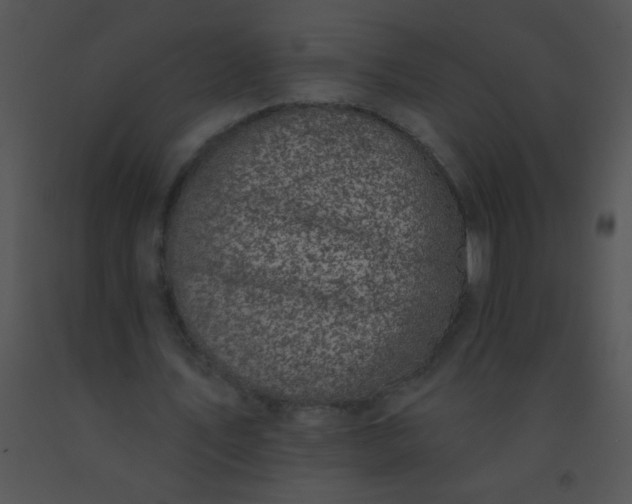 X0000091560579200708311417