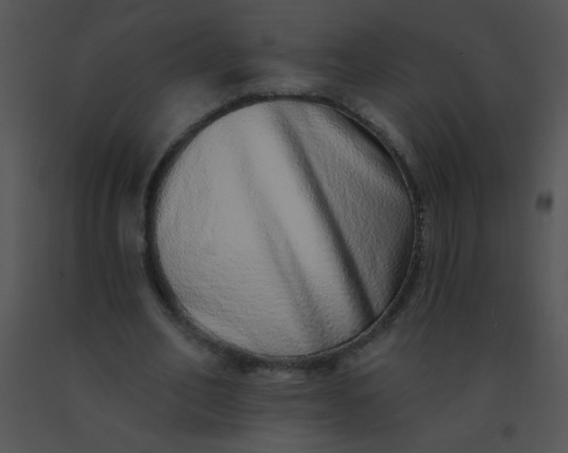 X0000091560582200708311417