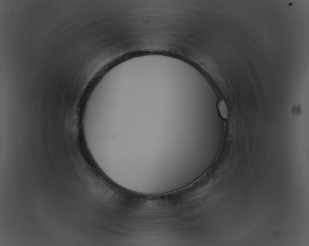 X0000091560584200708311417