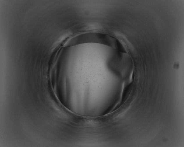 X0000091560585200708311417