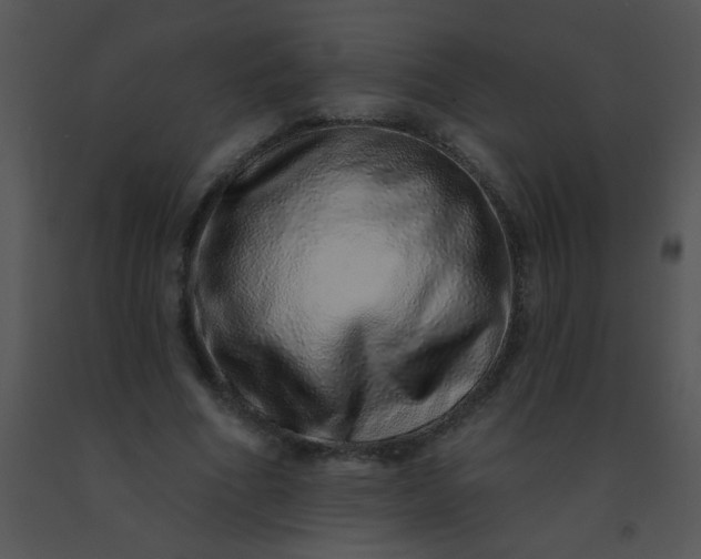 X0000091560586200708311417